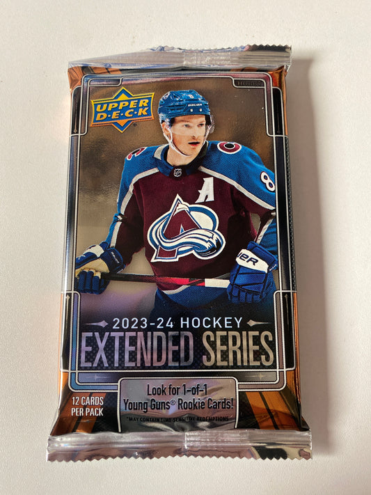 2023-2024 UpperDeck Extended Series